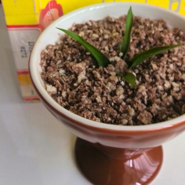 盆栽酸奶