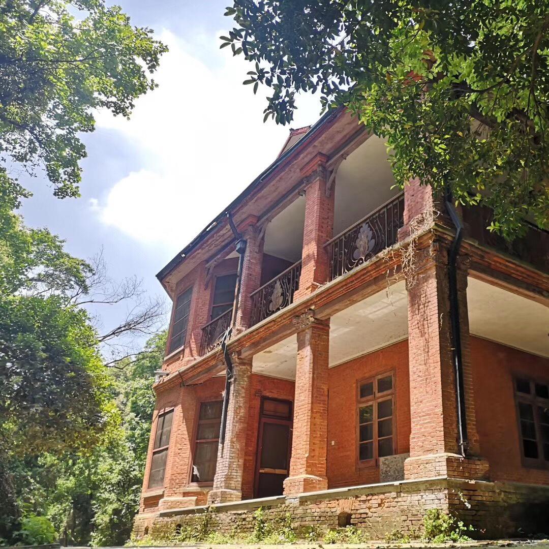 大蘑菇望一切顺利