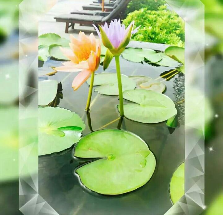 还珠格格吃天下