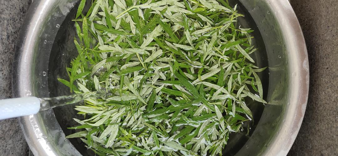 艾草的保存及各种美食