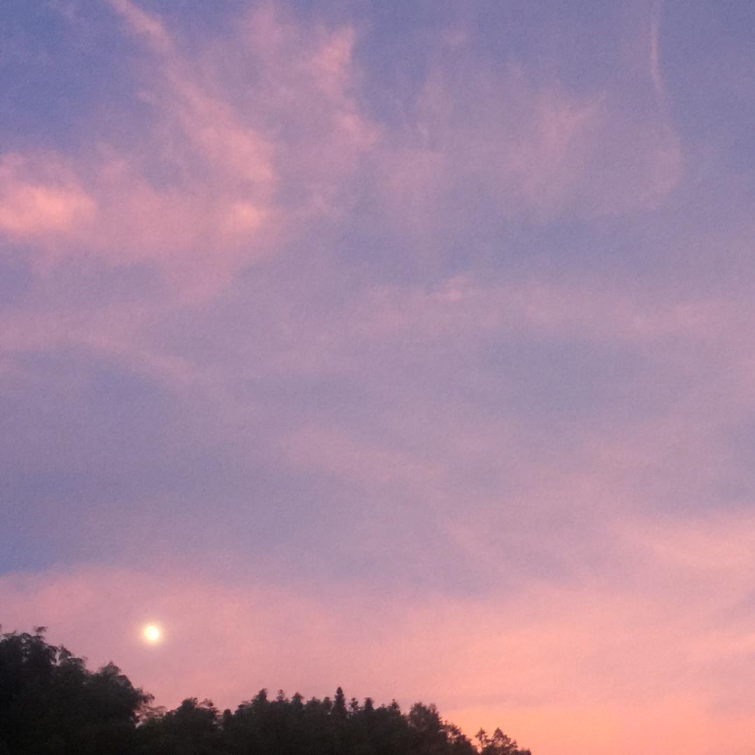 游鸿安