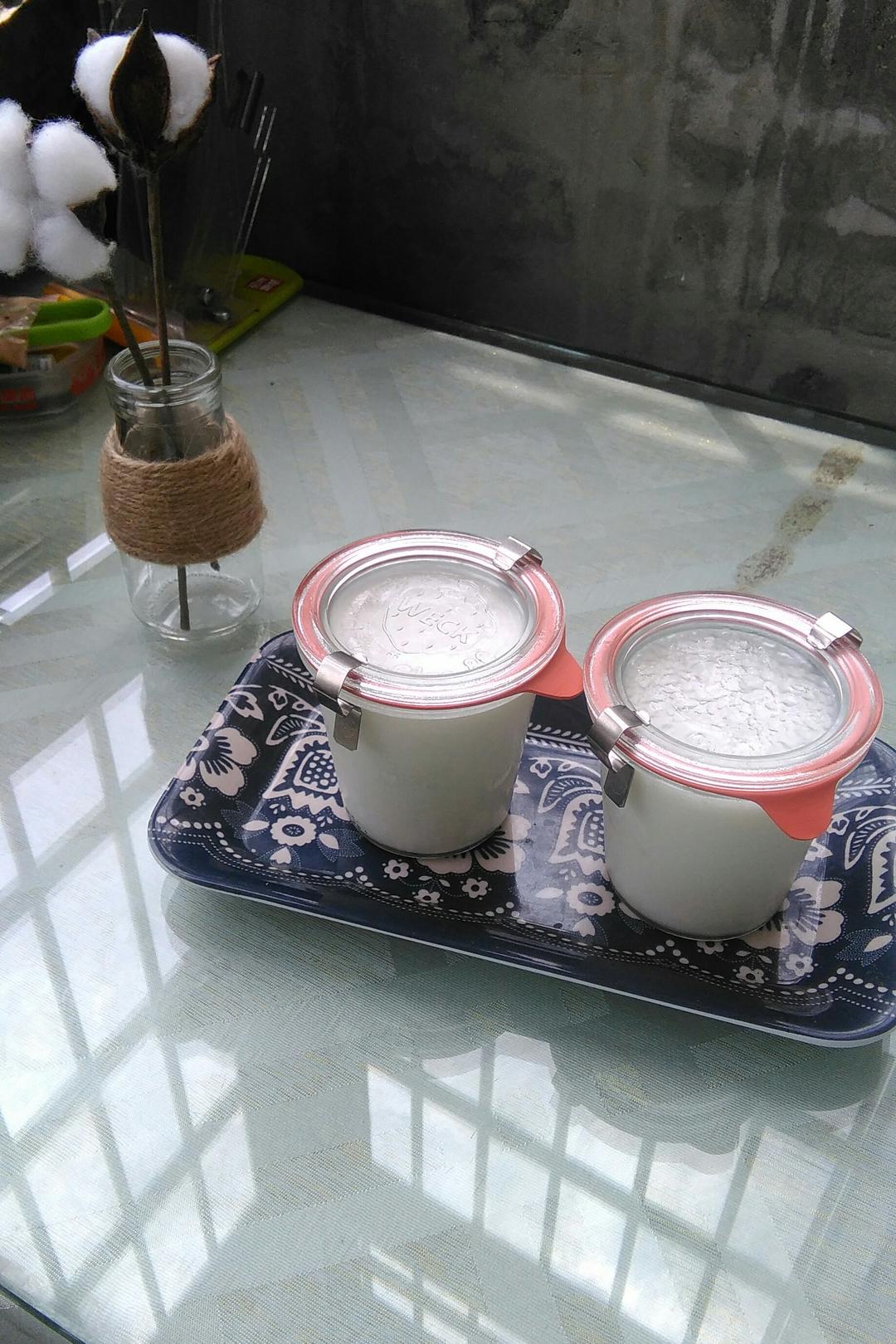 自制凝固型酸奶