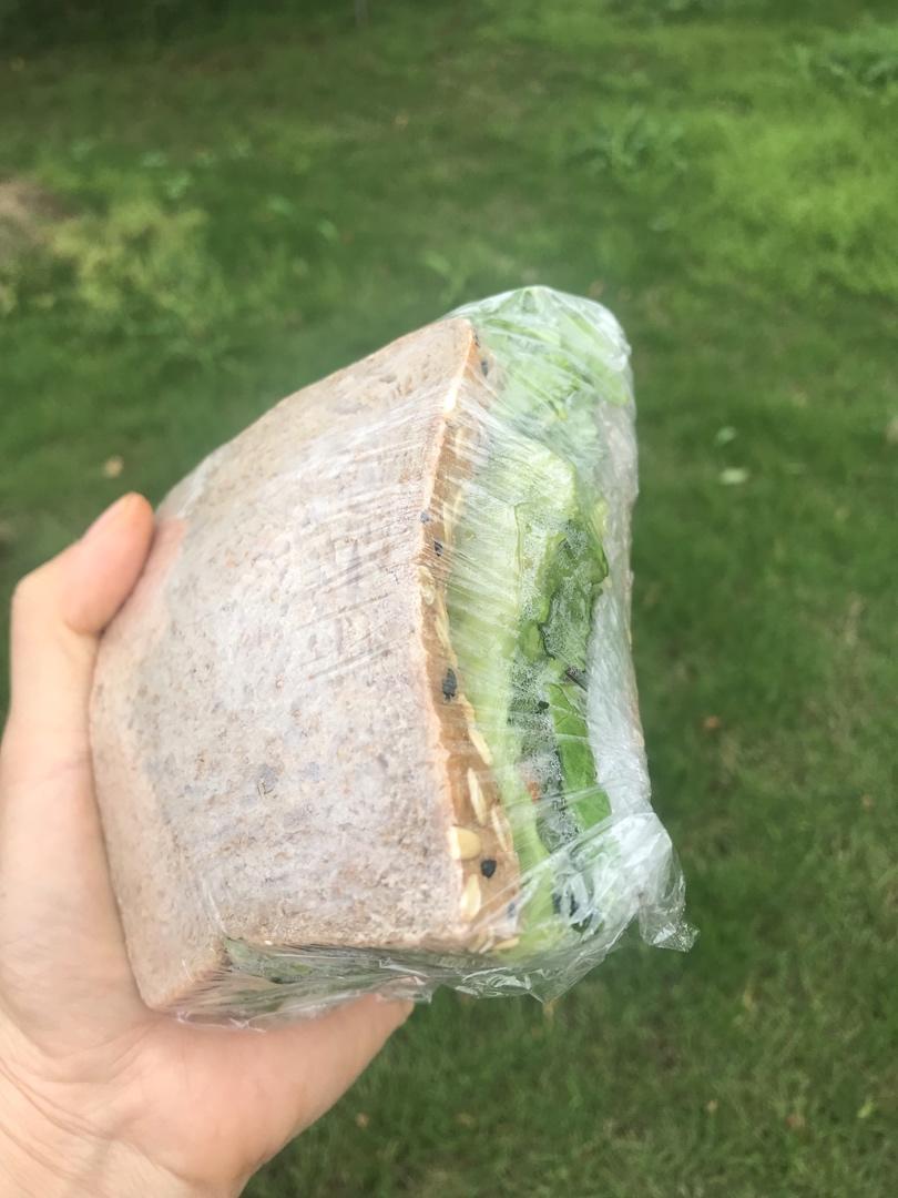 减肥期间饮食记录