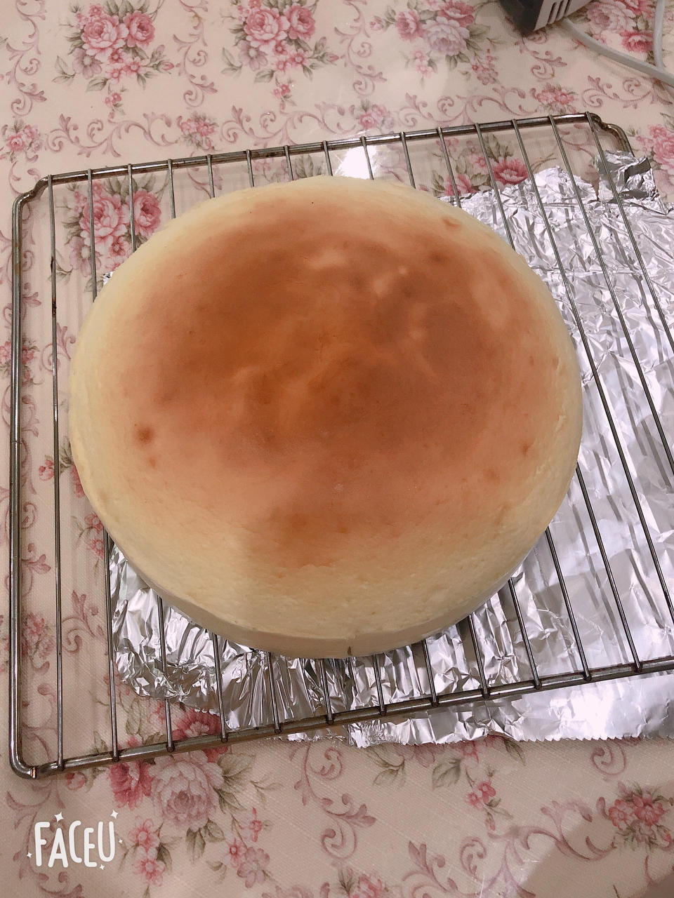 网红好利来半熟芝士蛋糕(低卡）轻乳酪蛋糕hanjuku cheese
