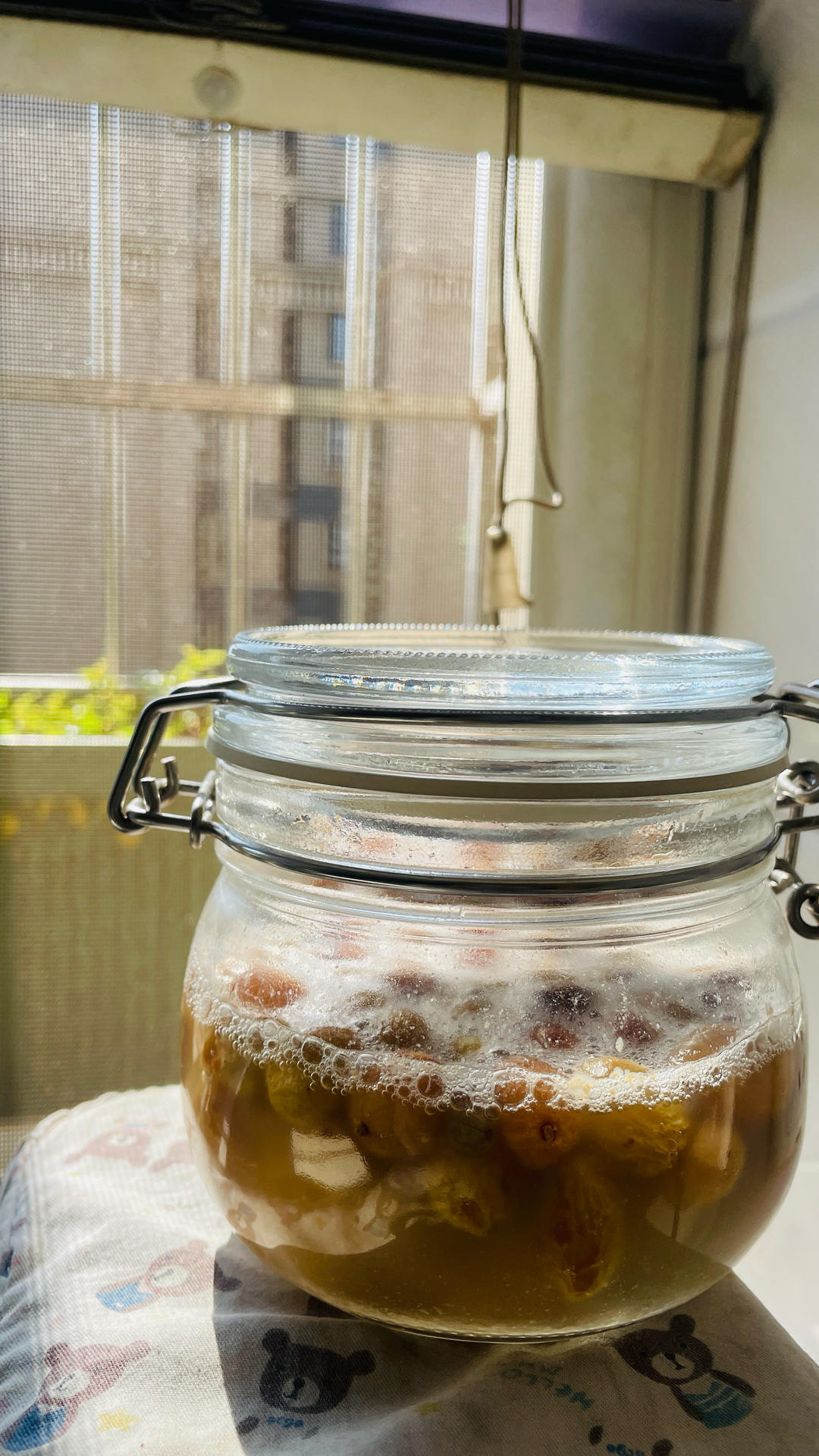 【天然酵母｜总结版】百分百成功｜葡萄干