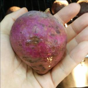 咪姆的马苏里拉芝士焗紫薯的做法 步骤1