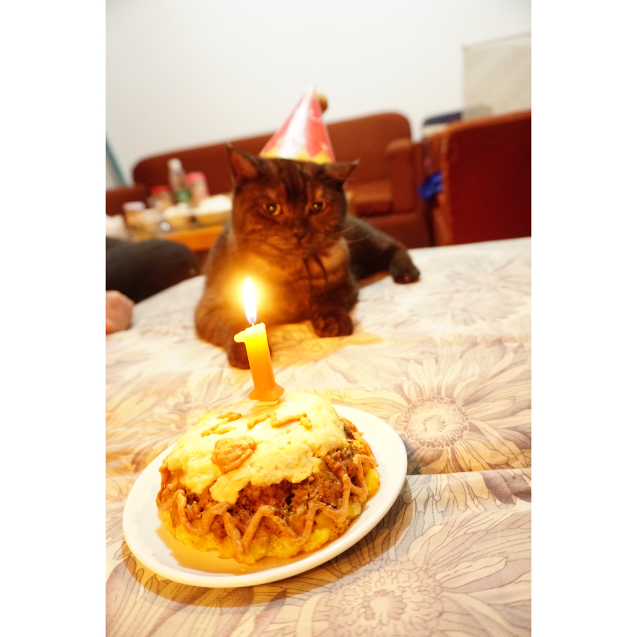 猫咪生日蛋糕←自制猫粮