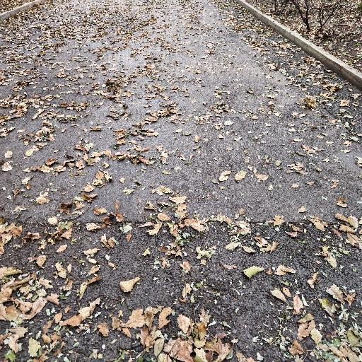 差不多先生大改造