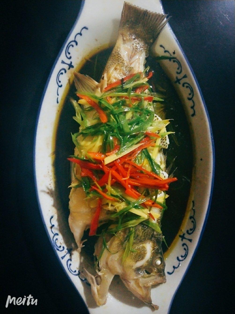 新手零失败的清蒸鲈鱼