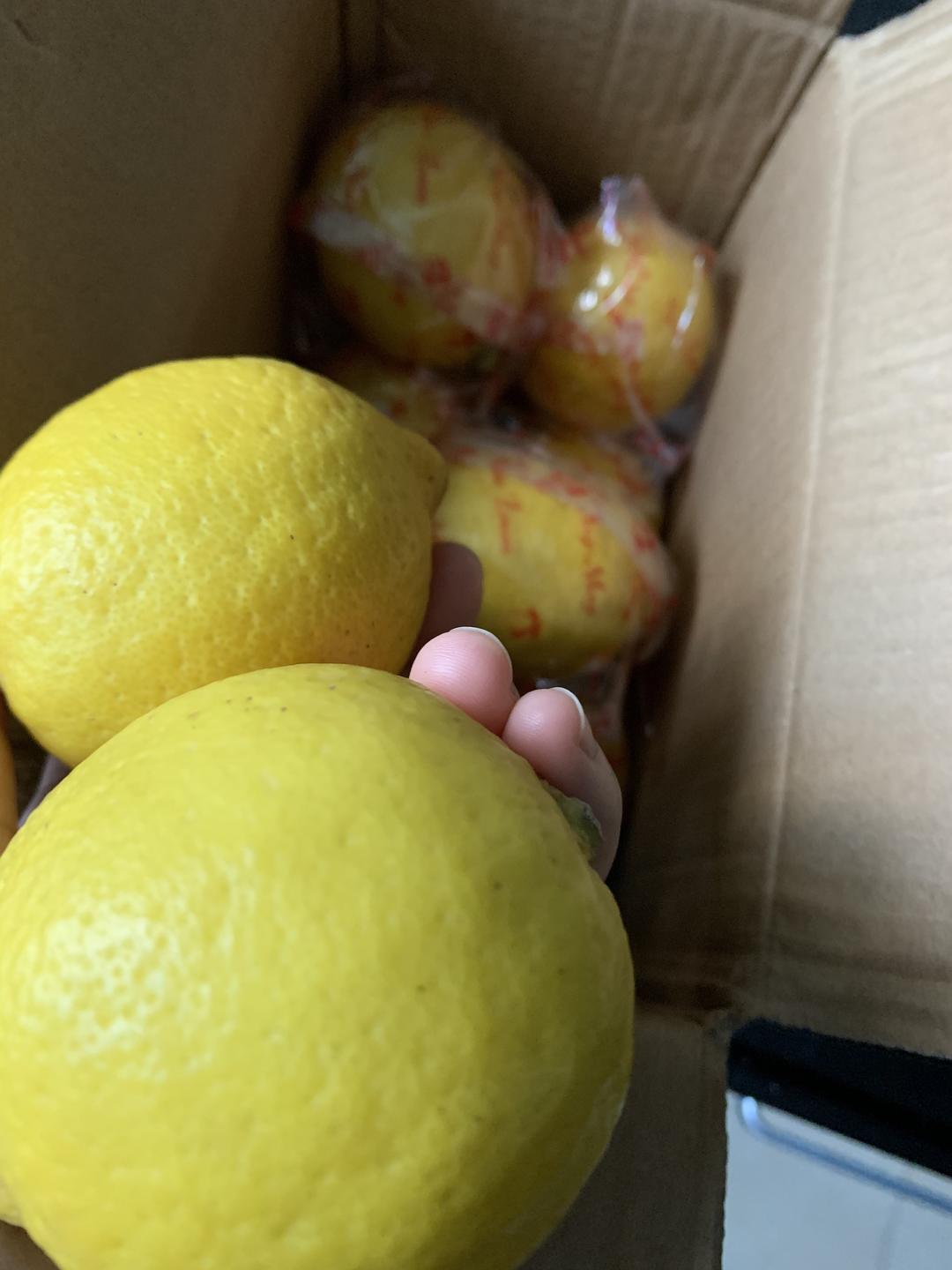 柠檬吃不完这样保存的做法 步骤1