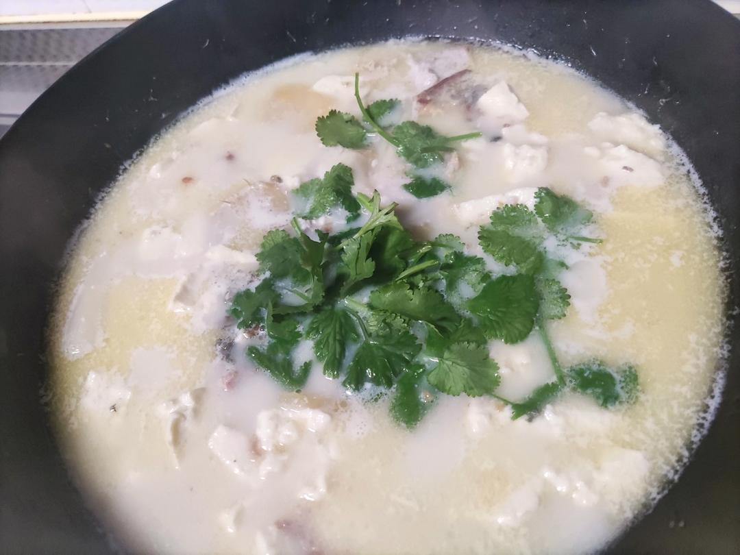 奶白鲫鱼豆腐汤|一条鱼最后的温柔