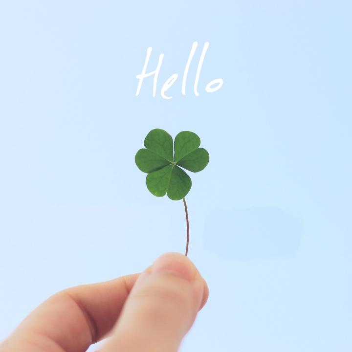 爱上美味的牛