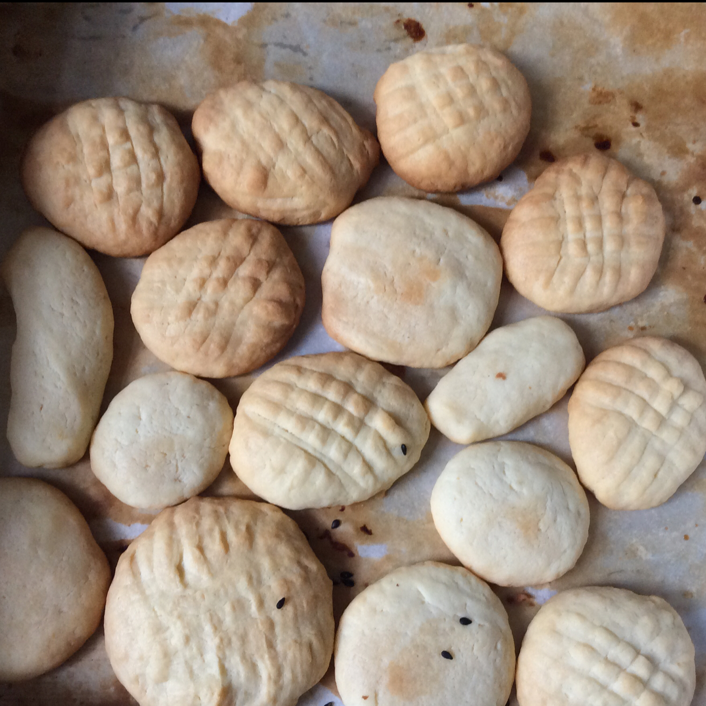 奶酪饼干