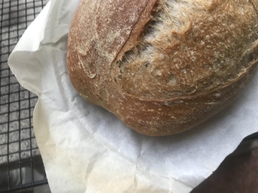 欧包组织分析-让我猜猜你的包子抽啥风？