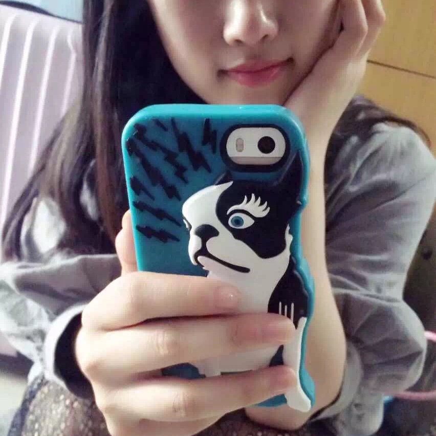 小费柴