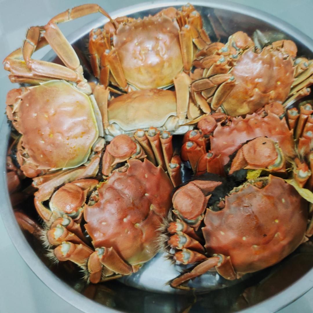 扉爷
