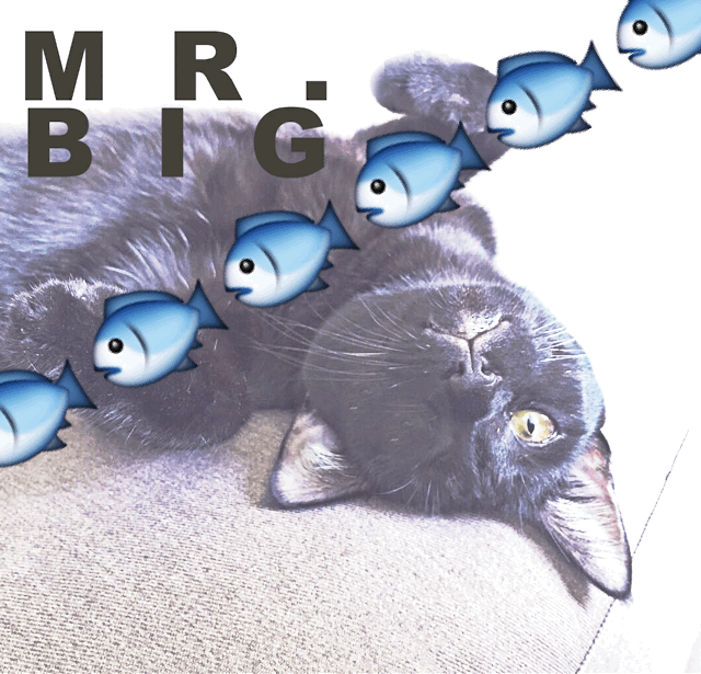 我們都愛的Mr.Big大先生