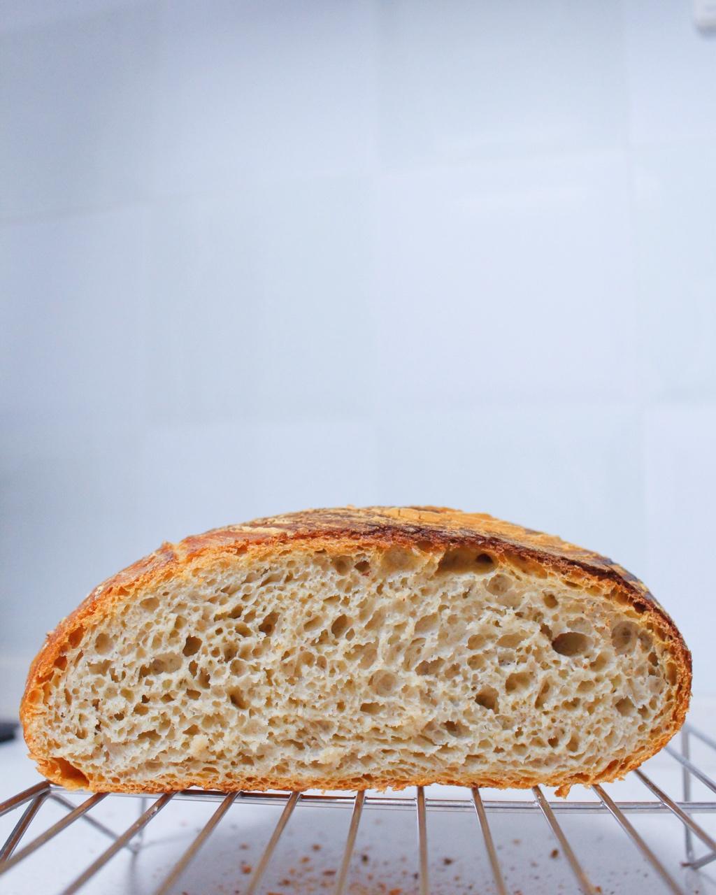 黑麦欧包（小视频）