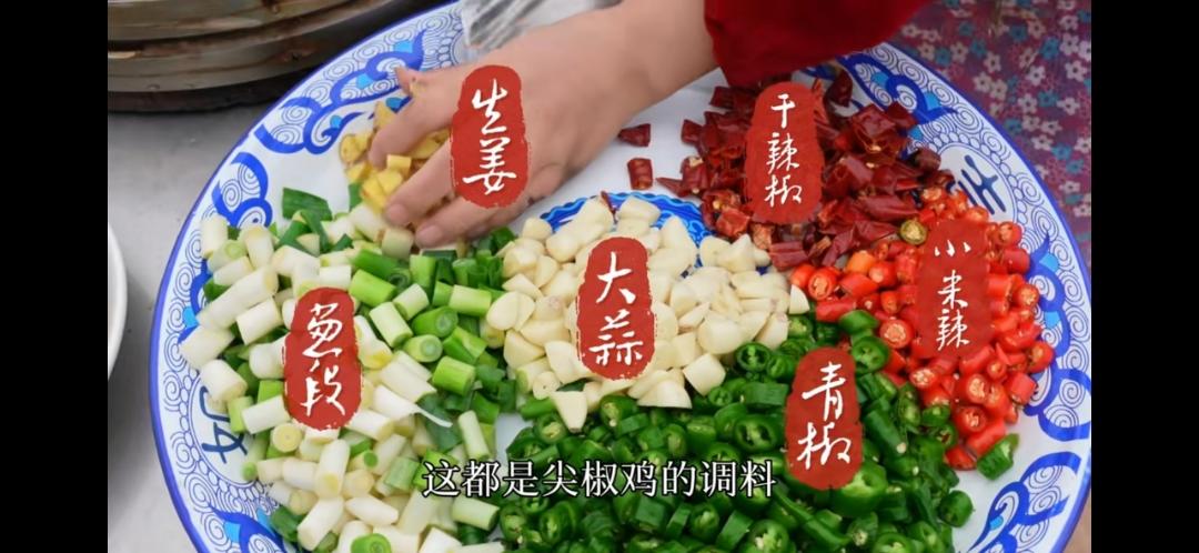 会唱歌的小米辣