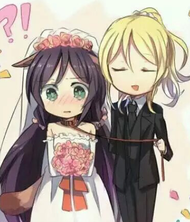 胡同巷子里有只猫