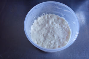 榛子乳酪软欧—海氏厨师机版的做法 步骤3