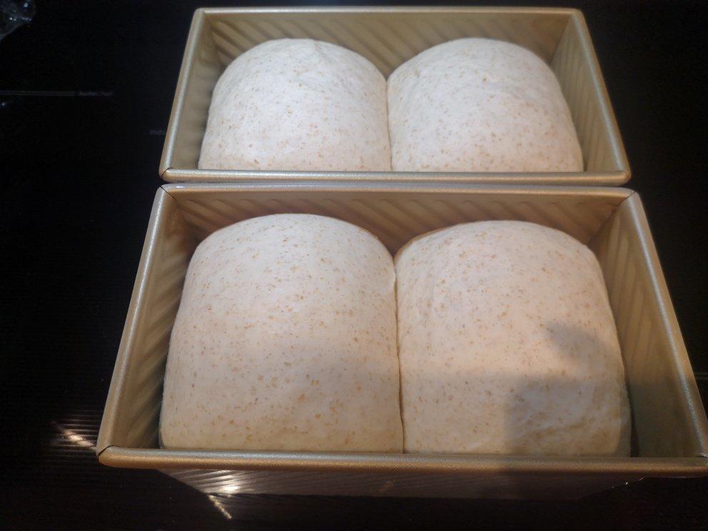 波兰种全麦吐司