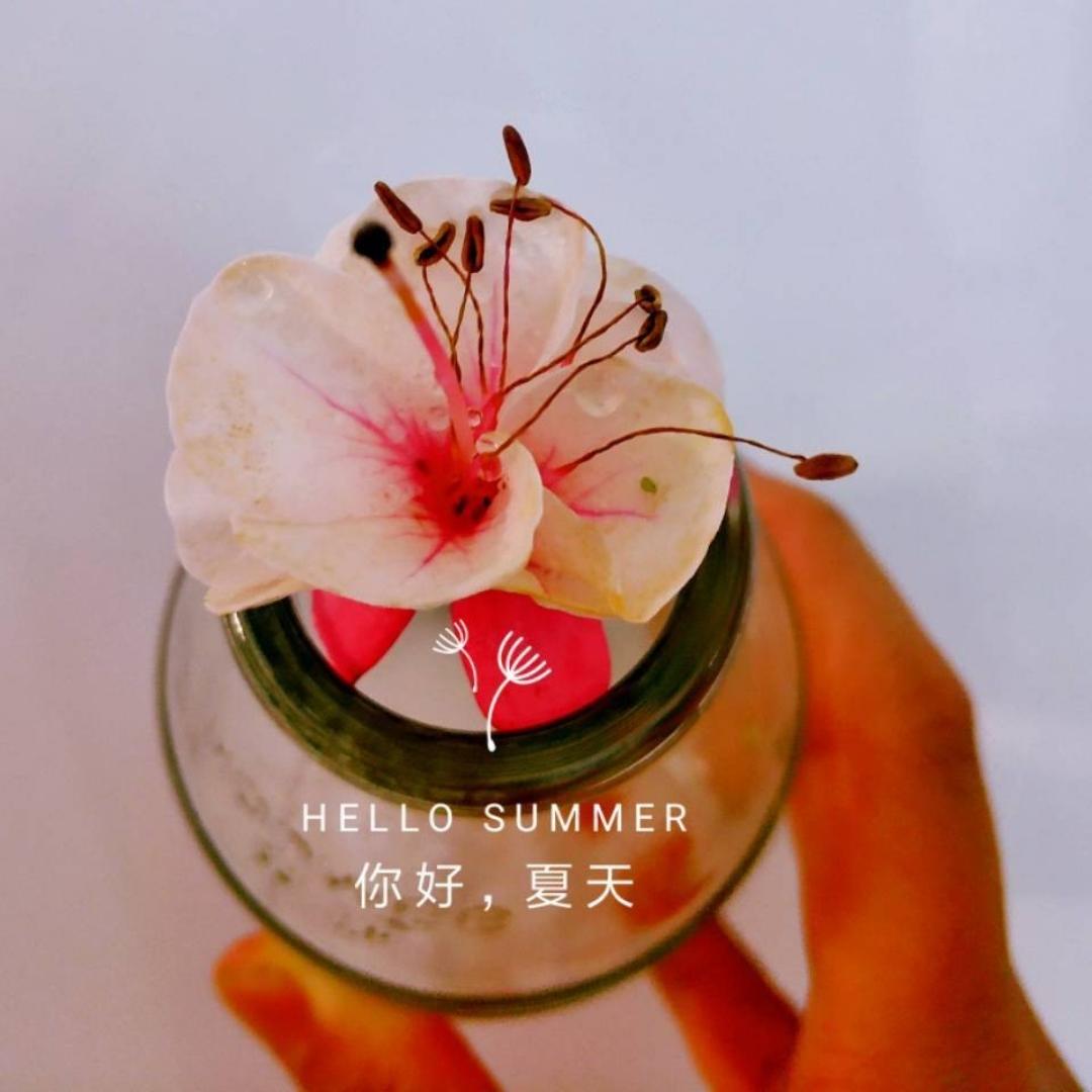 想变瘦的美食爱好者