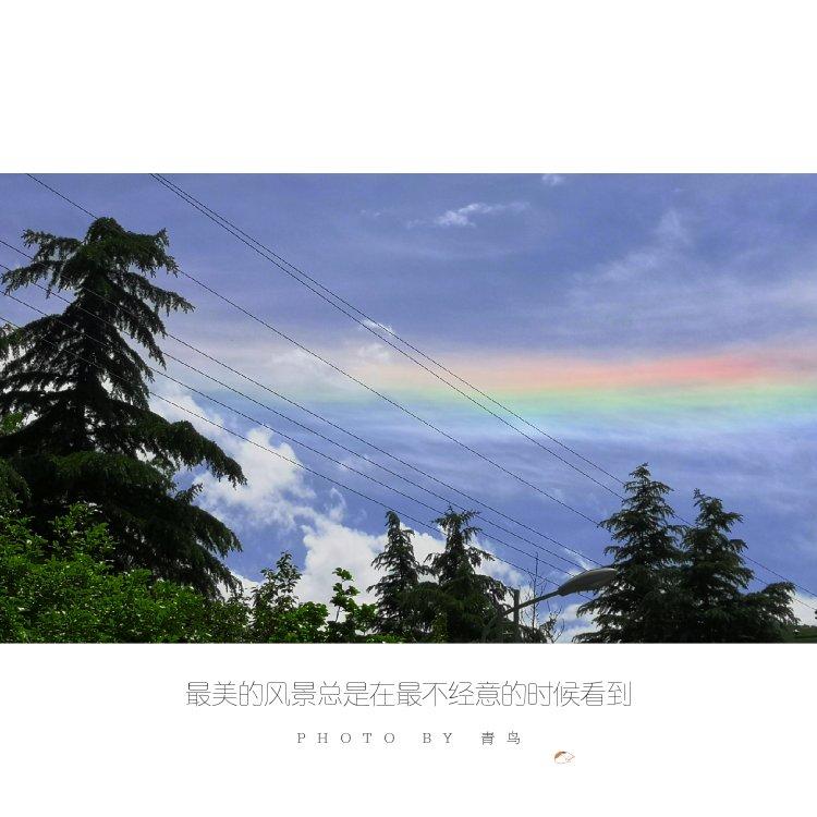 喵的面包吐司🍞糕糕🍰