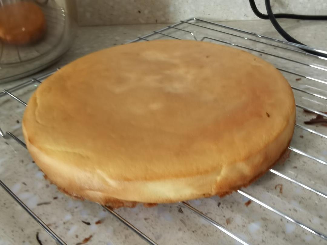 裱花必备，全蛋海绵蛋糕胚，6寸加高圆模