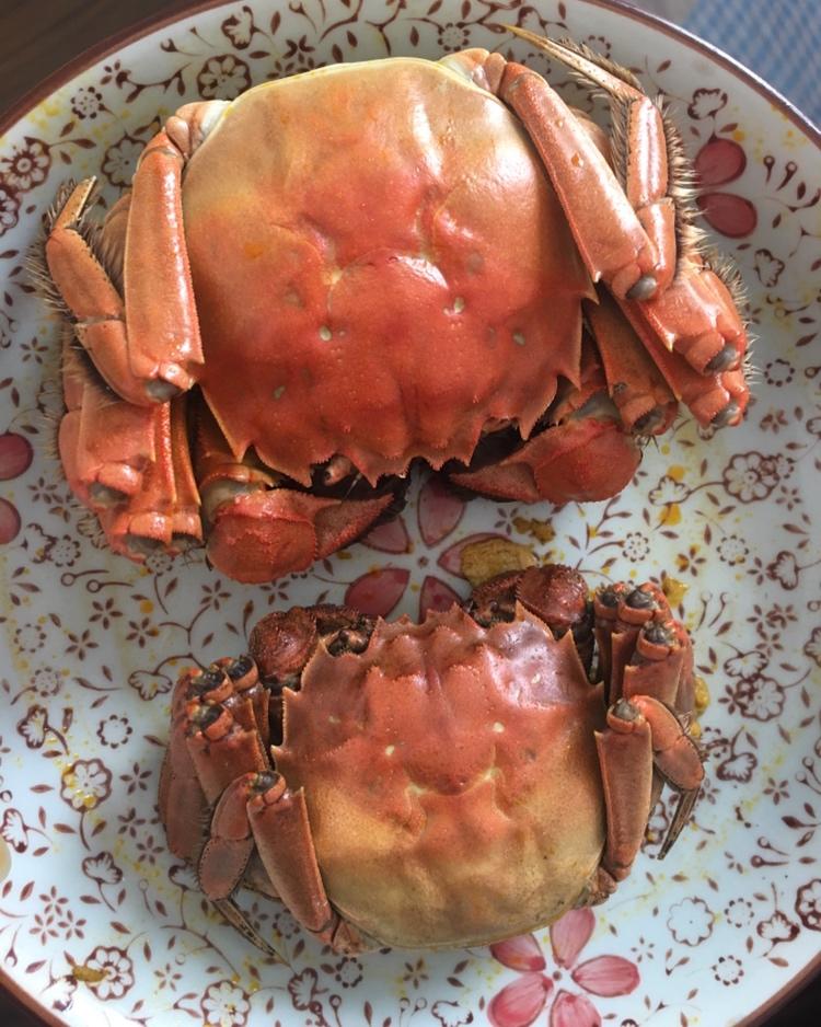 清蒸大闸蟹