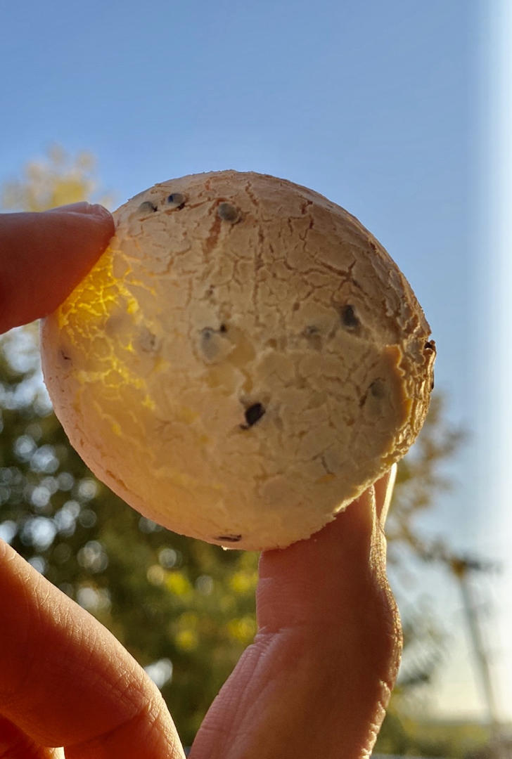 恐龙蛋·麻薯面包·麻薯包 自己做了1000➕的私人配方