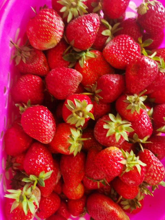 夏天不能少的冷饮