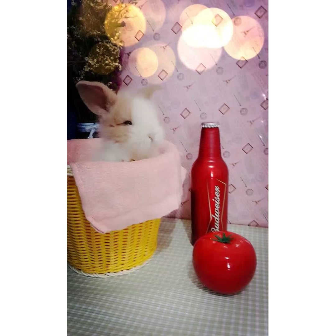 yyjzsk