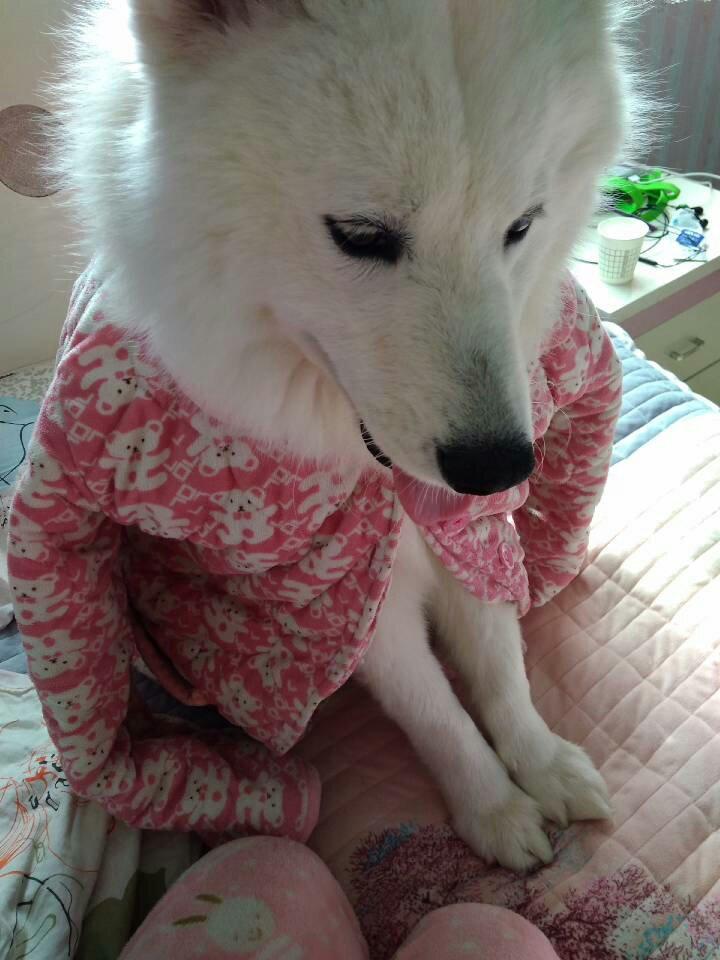 外脆里糯的烤年糕