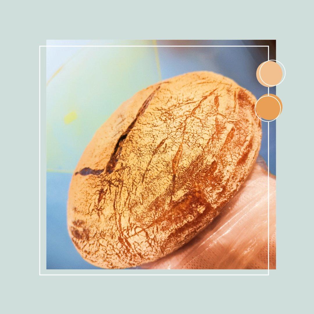 天然酵种乡村欧包/鲁邦种