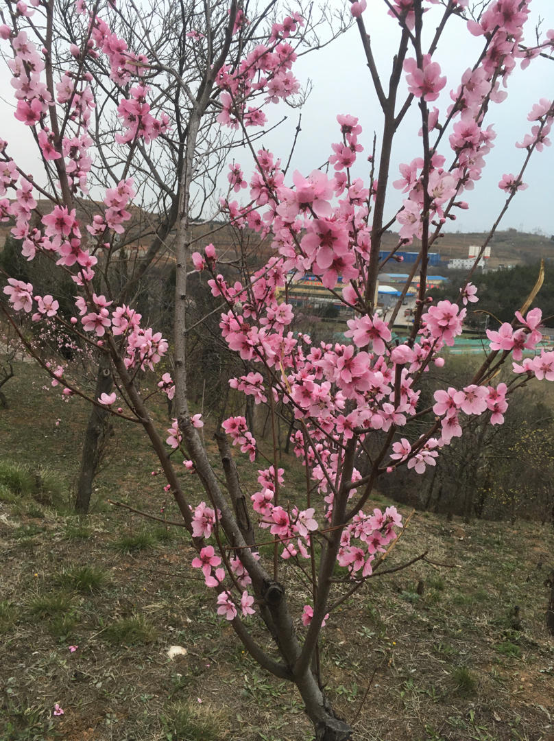 噢了算的厨房