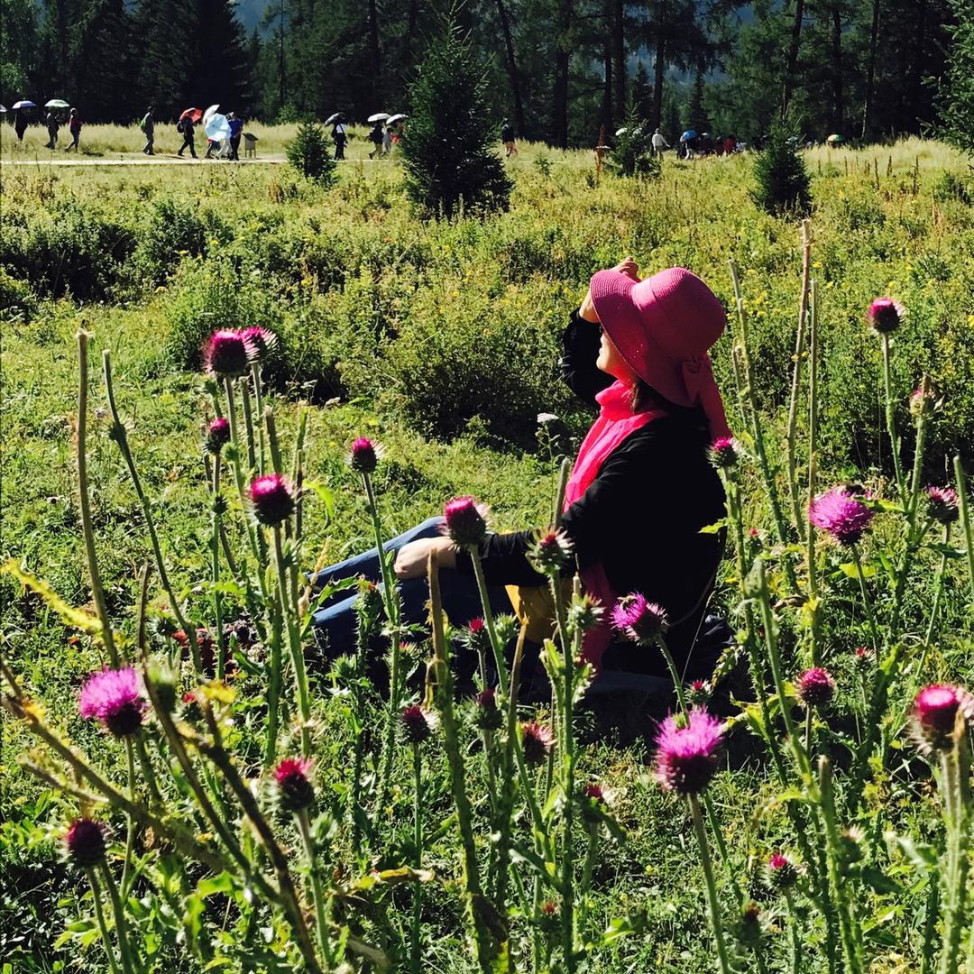 手机用户1918_htcz