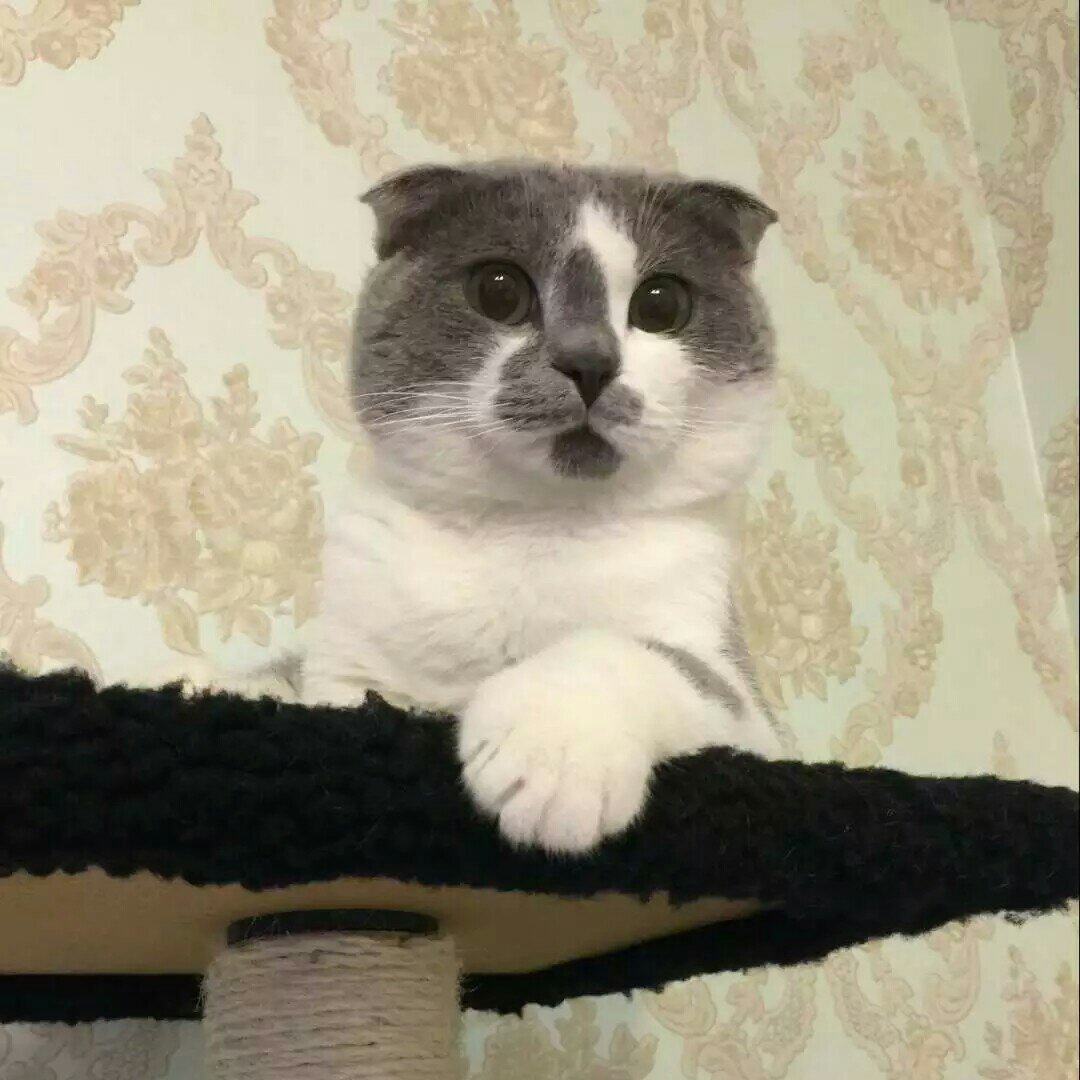 吃货小m
