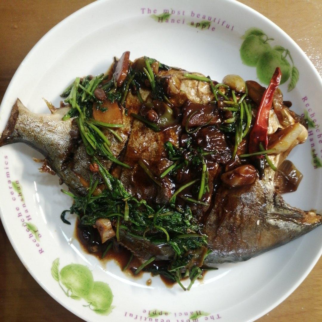 红烧金昌鱼🐟