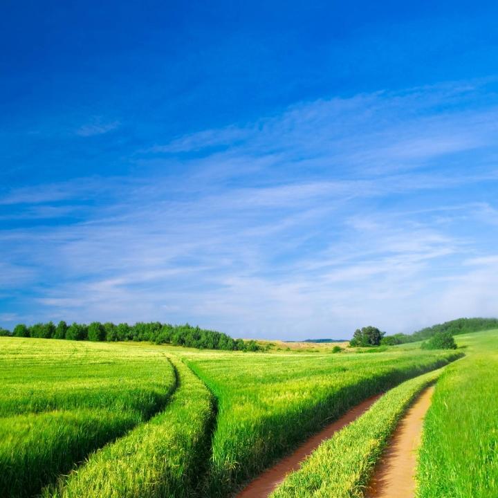 宝贝就是我的天使