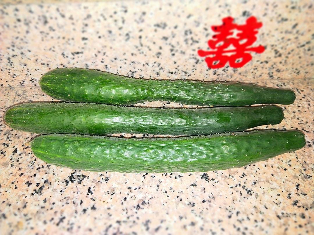 空中菜园<记录篇>
