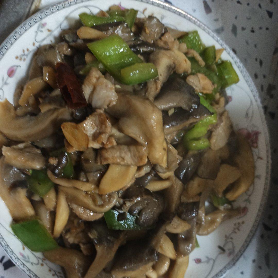 家常尖椒炒平菇
