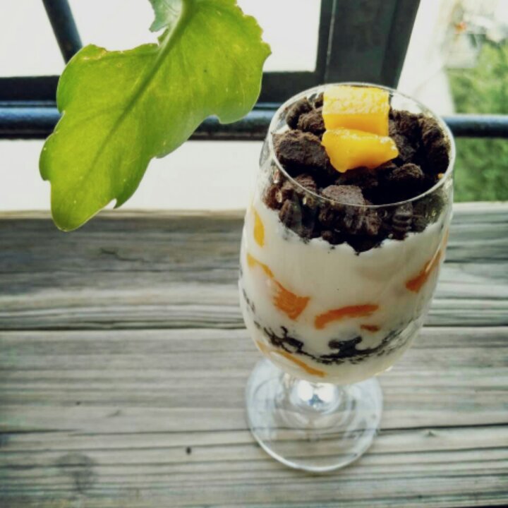 奥利奥酸奶盆栽