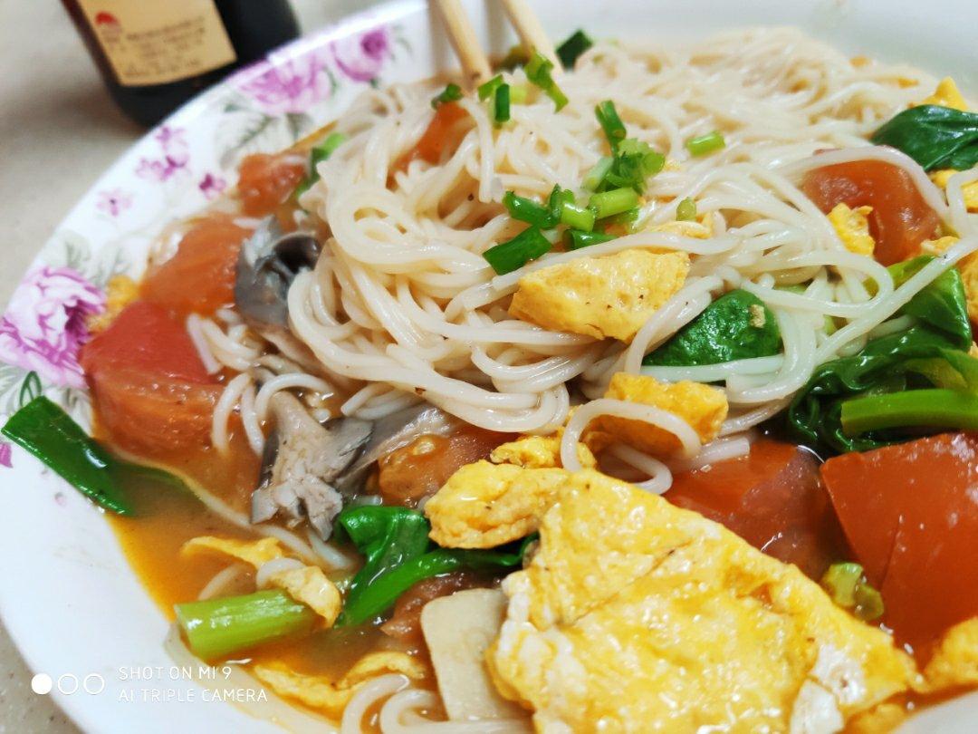 超级入味好吃的番茄鸡蛋面