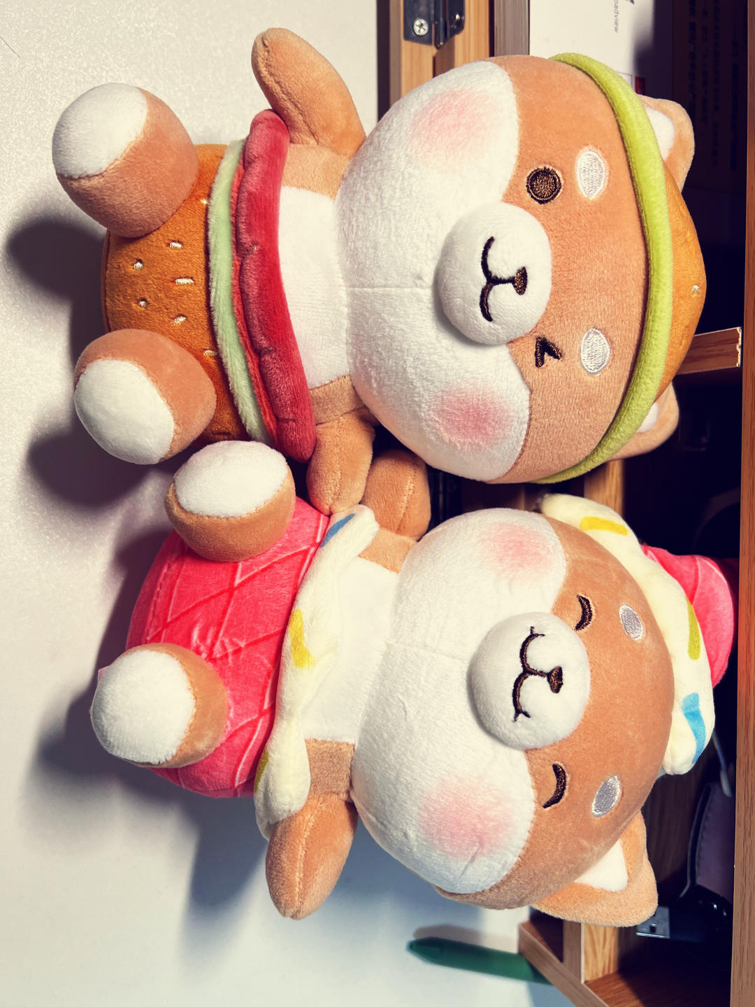 养生小新