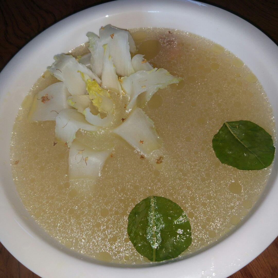 海葵静心莲