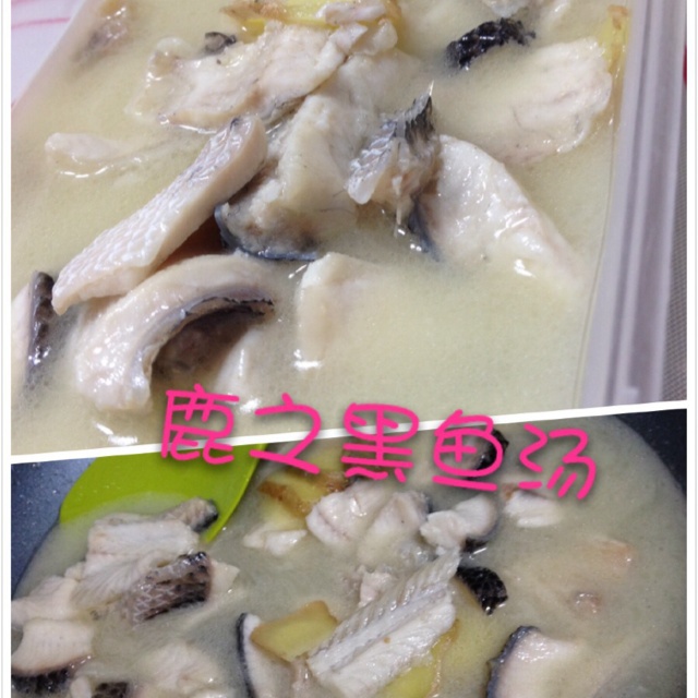 黑鱼汤