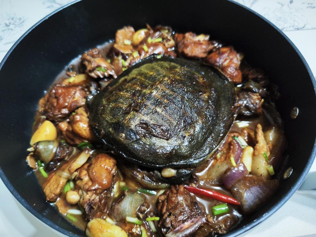 霸王别鸡(甲鱼焖鸡)