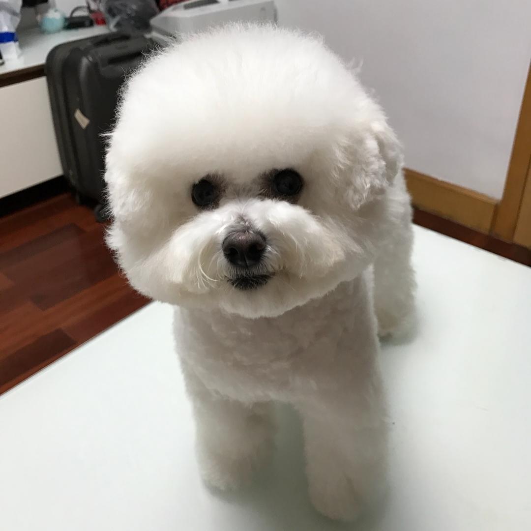 小璐璐NimoLu