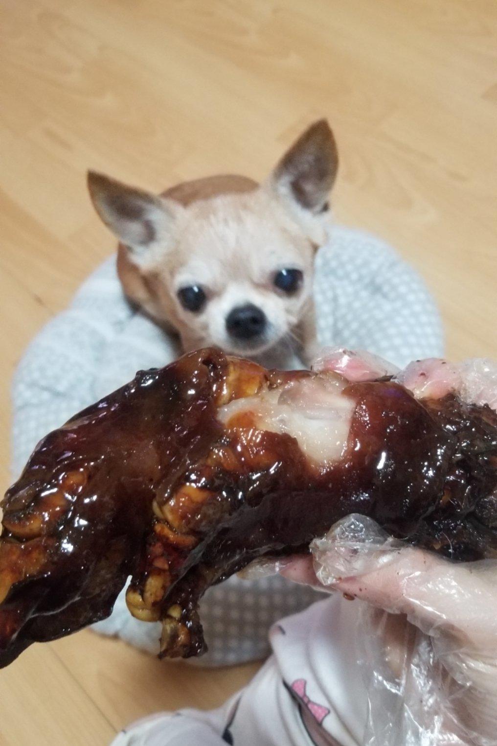 美味的家常菜：红烧猪蹄